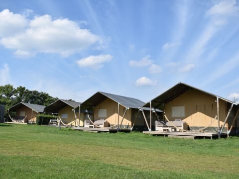 Safaritenten Veluwe