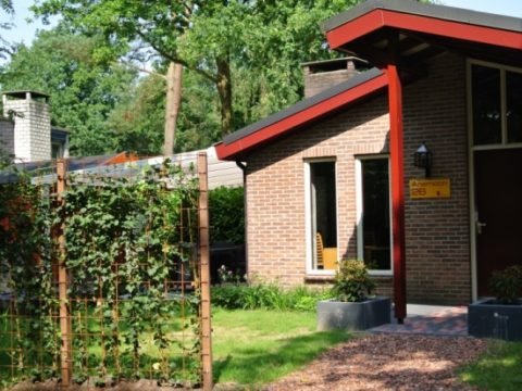 5-sterren-anwb-camping-6