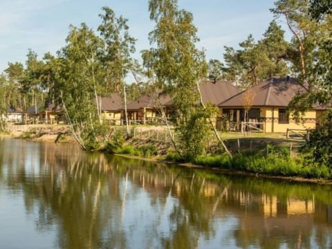 safari-resort-beekse-bergen-noord-brabant-11