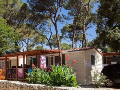 camping-park-soline