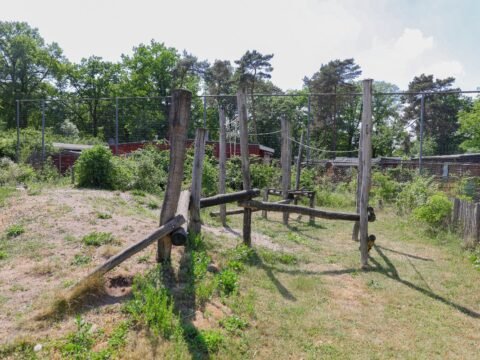 capfun wieskamp
