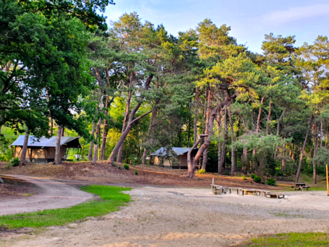 camping het horstmannsbos