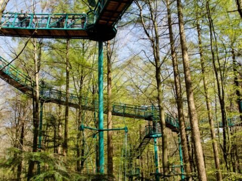 camping het horstmannsbos