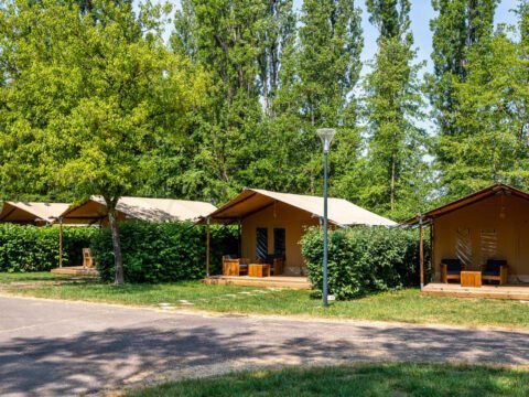 seasonova-vesoul