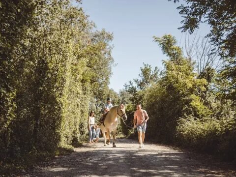 camping guyonniere